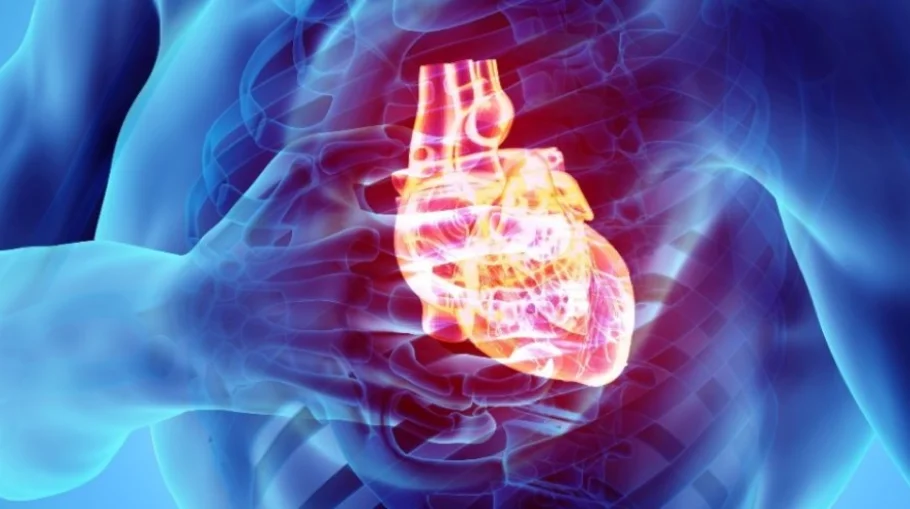 Исследование выявило первопричину хронической сердечной недостаточности после сердечного приступа