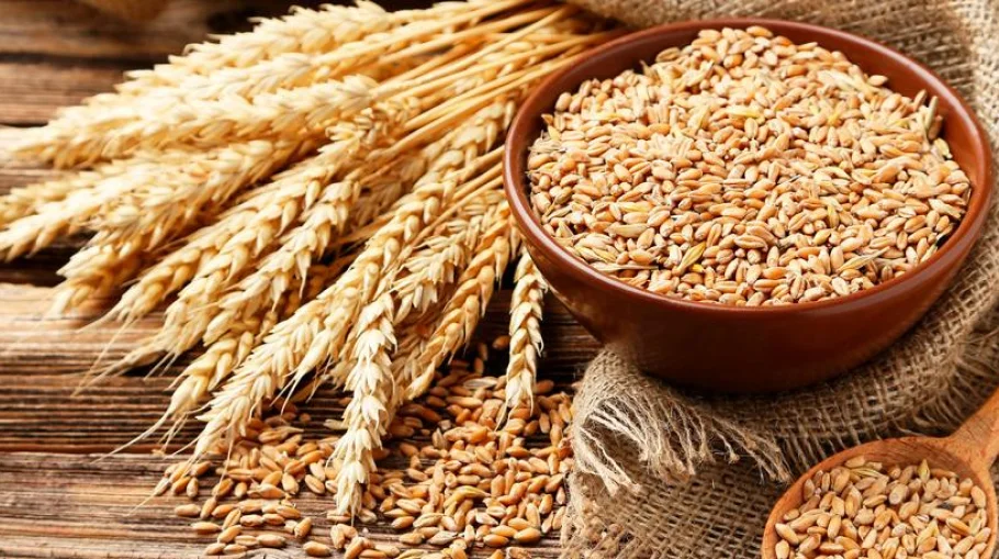Связь между типами потребления зерна и ишемической болезнью