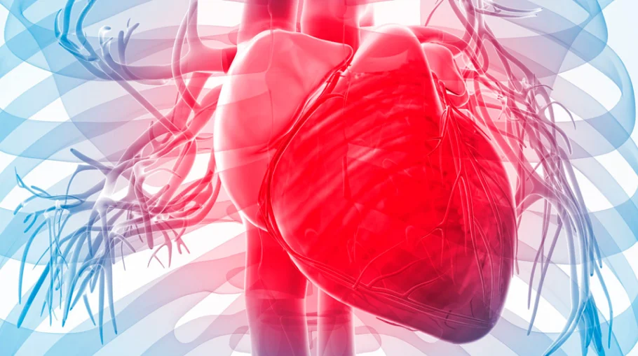 Молекулярная сигнатура может быть механически связана с риском кровотечения после операции на сердце