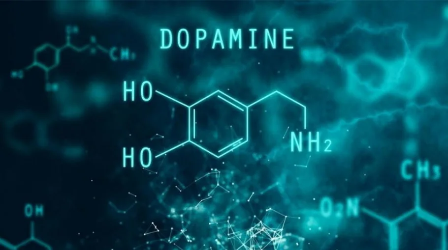 Роль дофамина при боли